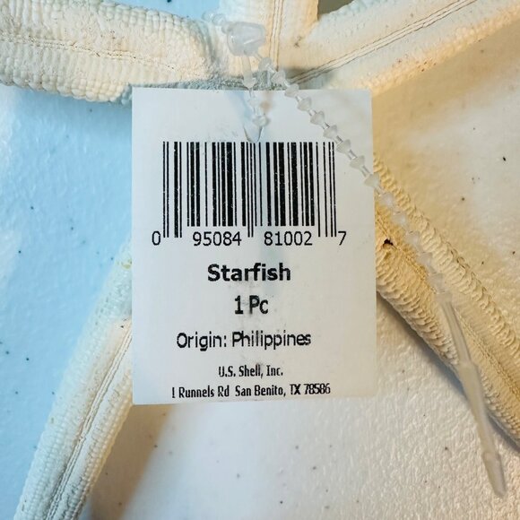 White Starfish Shell Beach Decoration Coastal Beach Home Decor & Crafts - Picture 2 of 7